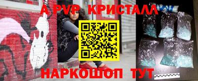 стаф Шебекино
