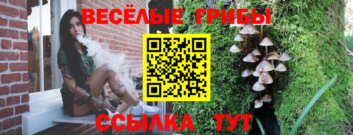 Псилоцибиновые грибы Psilocybe  Вход с VPN  Псилоцибиновые грибы мицелий  Протвино 